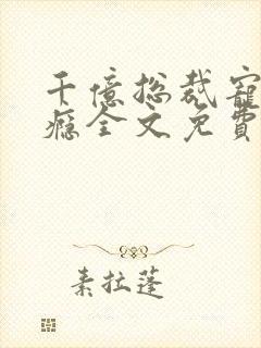 千亿总裁宠妻上瘾全文免费阅读