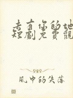 去有你的地方2短剧免费观看