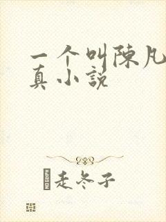一个叫陈凡的修真小说