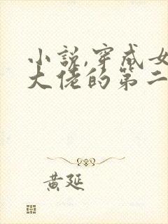 小说,穿成女装大佬的第二人格