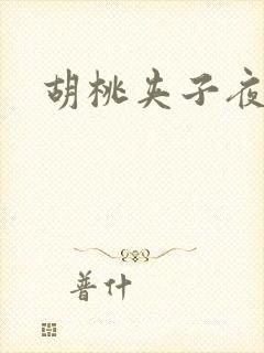 胡桃夹子夜未眠