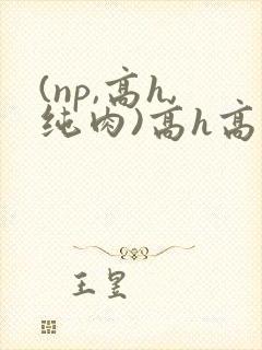 (np,高h,纯肉)高h高辣h