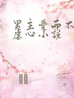 男主爱而不得的虐心小说