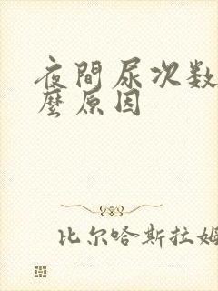 夜间尿次数多什么原因