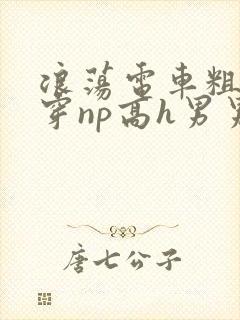 浪荡电车粗大贯穿np高h男男