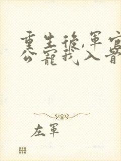 重生后,军官老公宠我入骨