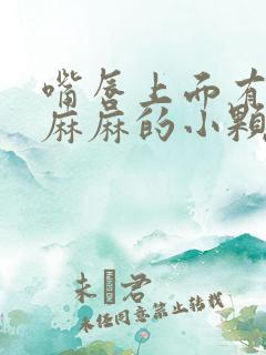 嘴唇上面有密密麻麻的小颗粒是什么