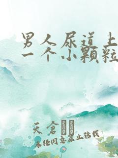 男人尿道上长了一个小颗粒