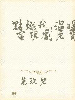 点燃我,温暖你 电视剧免费