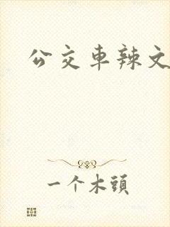 公交车辣文合集