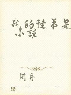 我的徒弟是女帝 小说