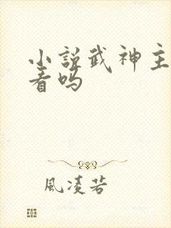 小说武神主宰好看吗