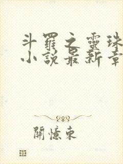 斗罗之灵珠神剑小说最新章节目录