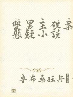 双男主破案推理悬疑小说