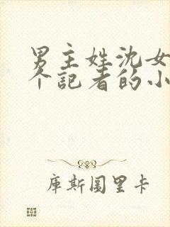 男主姓沈女主是个记者的小说