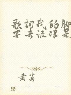 歌词我的脚步想要去流浪是哪首歌