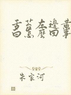 舌苔左边黄右边白怎么回事