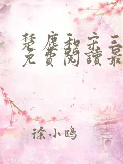 楚尘和宋三小姐免费阅读最新