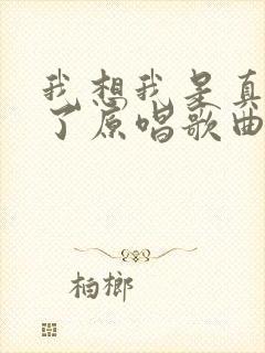 我想我是真的老了原唱歌曲