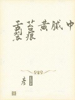 舌苔黄腻中间有裂痕