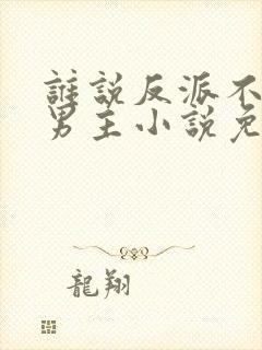 谁说反派不能当男主小说免费