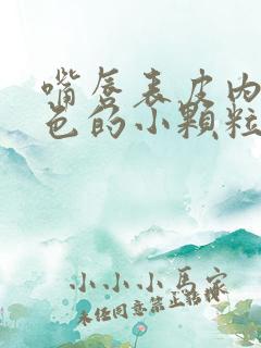 嘴唇表皮内有白色的小颗粒是什么