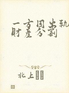 一方因出轨离婚财产分割