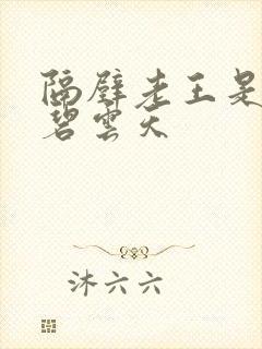 隔壁老王是皇帝碧云天