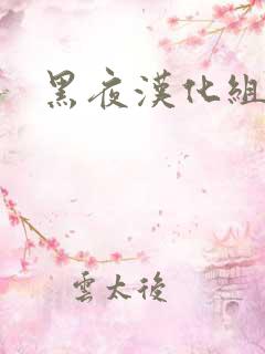 黑夜汉化组