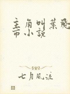 主角叫叶飞的都市小说