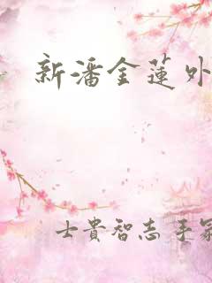新潘金莲外传