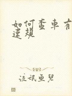 如何查车有没有违规