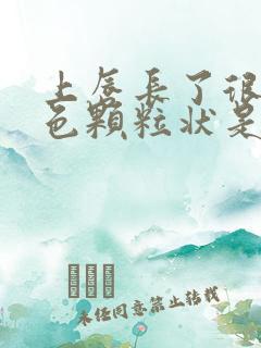 上唇长了很多白色颗粒状是怎么回事