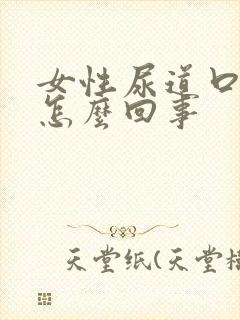 女性尿道口有泡怎么回事