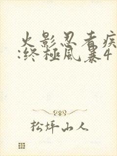 火影忍者疾风传:终极风暴4