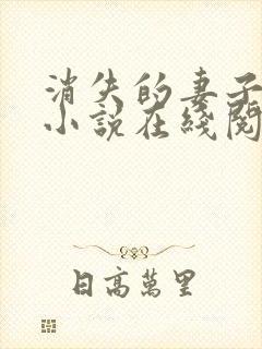 消失的妻子素素小说在线阅读