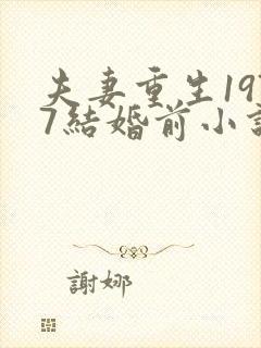 夫妻重生1977结婚前小说阅读全文