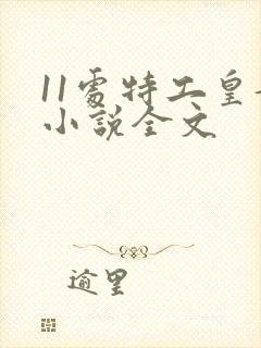 11处特工皇妃小说全文