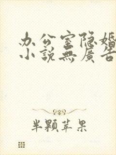 办公室隐婚轻黯小说无广告