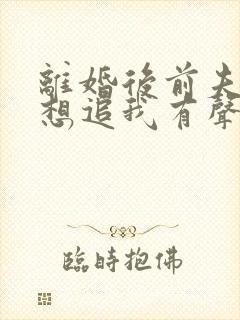 离婚后前夫总是想追我有声