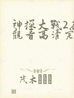 神探大战2在线观看高清完整版国语