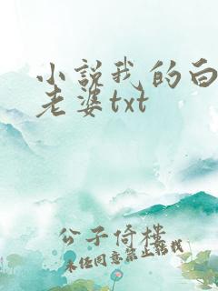 小说我的白富美老婆txt