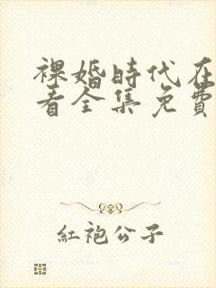 裸婚时代在线观看全集免费