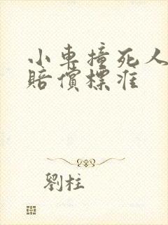 小车撞死人全责赔偿标准