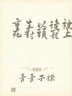 重生以后被渣男死对头宠上天