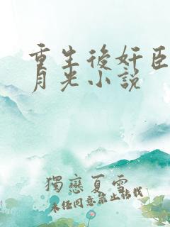 重生后奸臣的黑月光小说