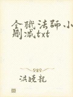 全职法师小说无删减txt