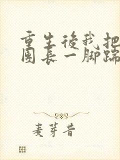 重生后我把渣男团长一脚踹开