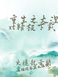重生之大涅磐txt精校下载