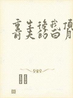 重生后我顶替了前夫的白月光简介